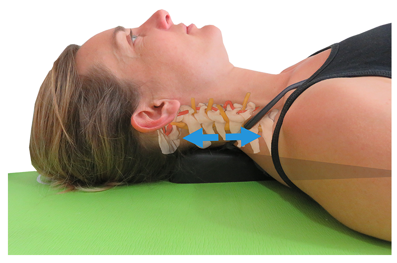 spynamics neck stretch